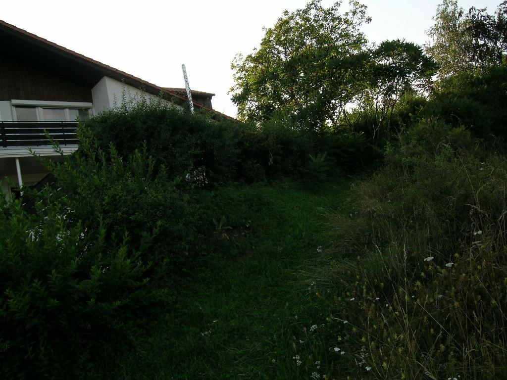 Noahs Arche Pension 波滕施泰因 外观 照片